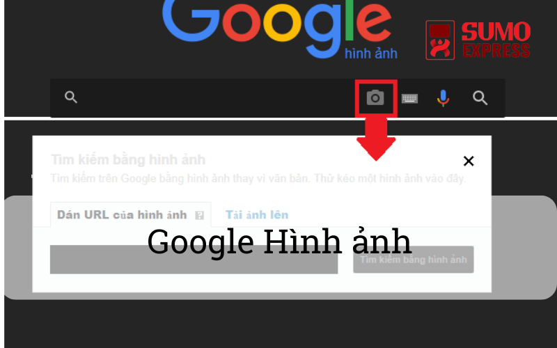 google-hinh-anh